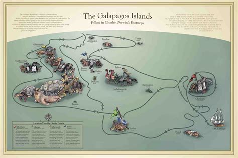 Galapagos Islands: Darwin Inspiration - PRE-TEND Be curious - Travel