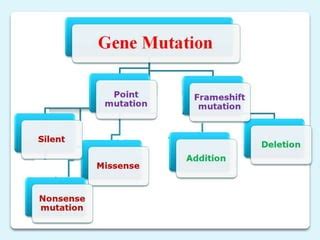 Types of mutation | PPT