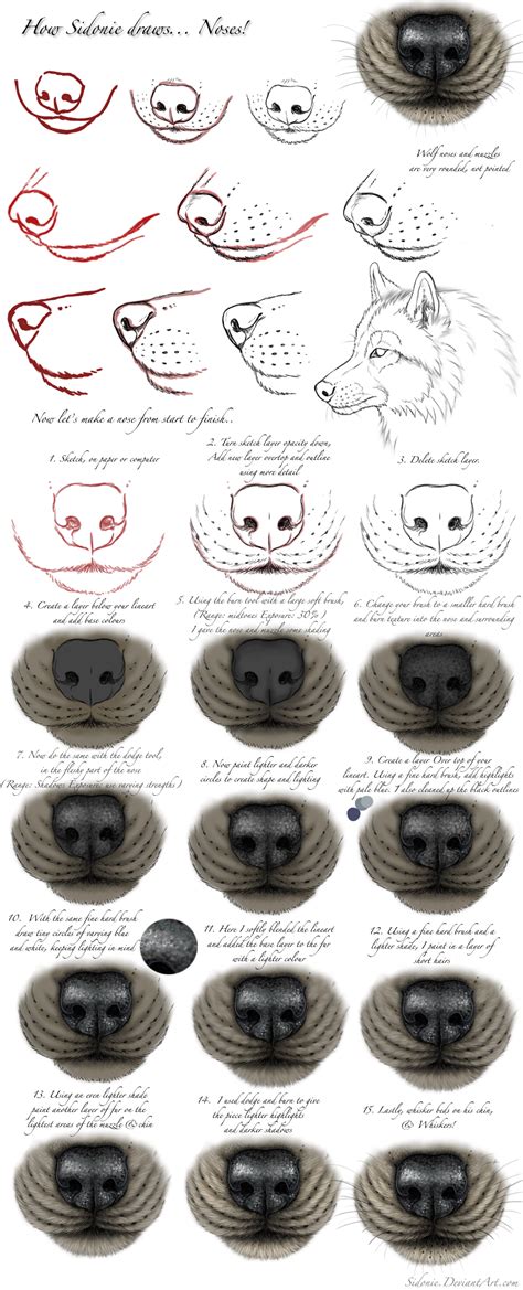 Nose Tutorial by Sidonie on deviantART | Wolf drawing, Drawing tutorial ...