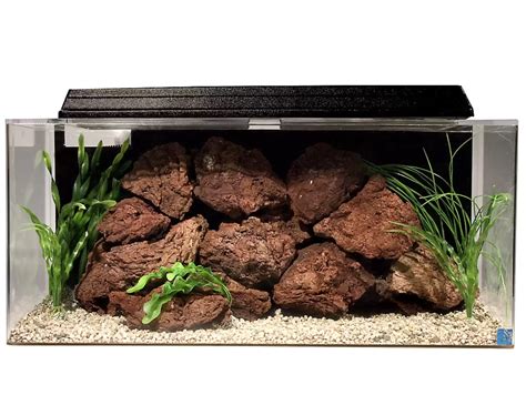 The Best 30 Gallon Fish Tank: A List of Our Top 4 Choices