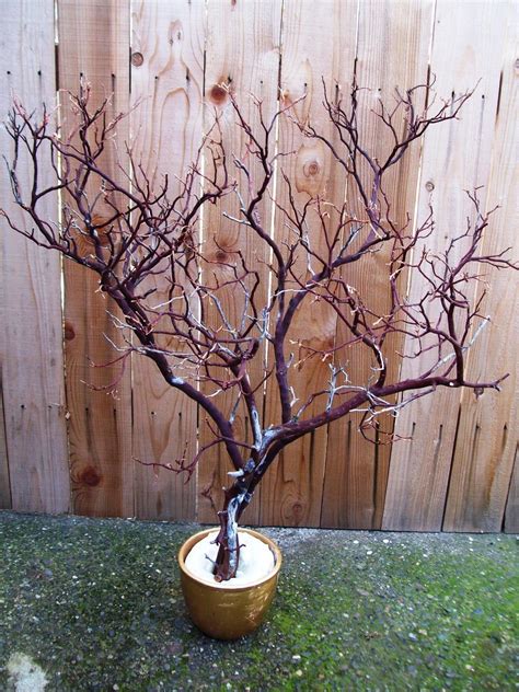 Manzanita Manzanita Branches Manzanita Branch by SweetSylDesigns