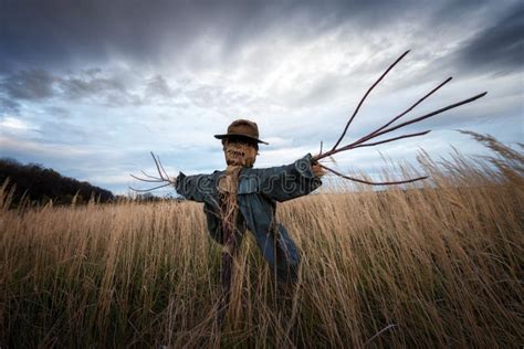 The Scarecrow in the Wheat Field Stock Photo - Image of lonely, agriculture: 192596058