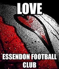 essendon football club wallpapers - Google Search | Essendon football club, Afl premiership ...