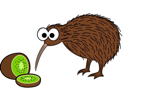 Kiwi Bird PNG Clipart - PNG Mart