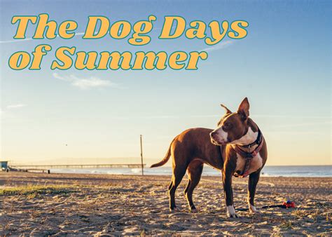 What Does The Idiom Dog Days Of Summer Mean