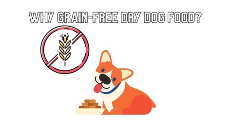 Dog Food Diet: Why Grain-Free Dry Dog Food? – Mr Dog Food