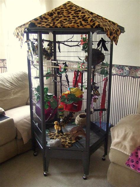 Nurul Kay World: Sugar Glider Cage Decoration