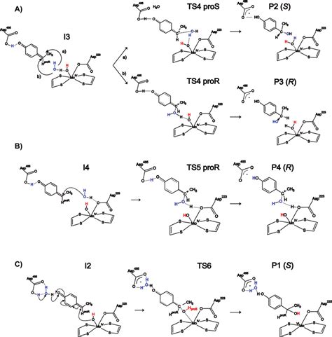 Four alternative reaction pathways of the proposed quinone... | Download Scientific Diagram