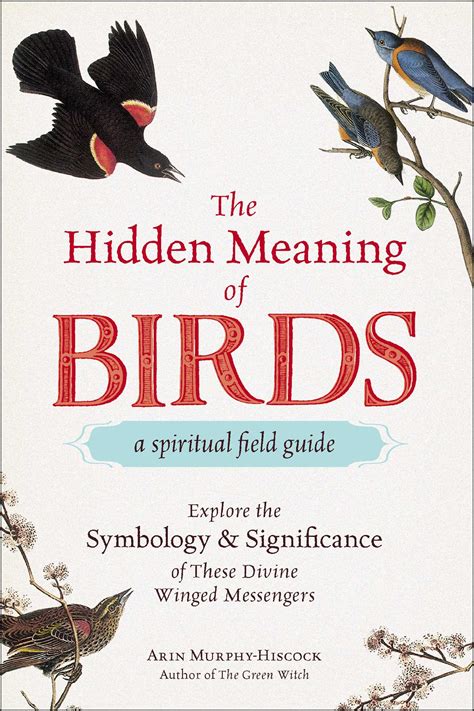 The Hidden Meaning of Birds--A Spiritual Field Guide | Book by Arin ...