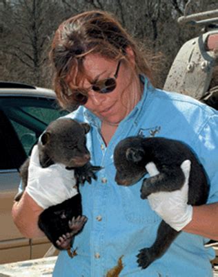 Three Louisiana Black Bear Cubs, Mama Relocated to Save Threatened Species