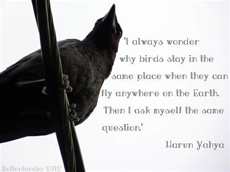 Crow Animal Quotes. QuotesGram