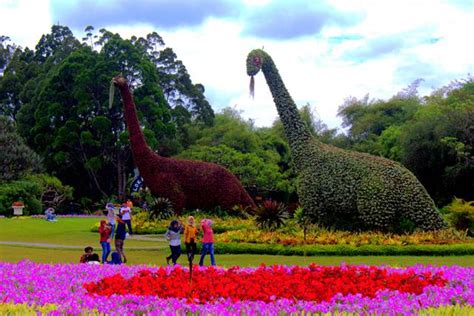 [Foto] Ada Dinosaurus di Taman Bunga Nusantara - UMUM SEKALI