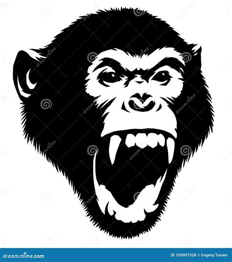 How To Draw Monkey Step By Step Cartoon Illustration With White ...