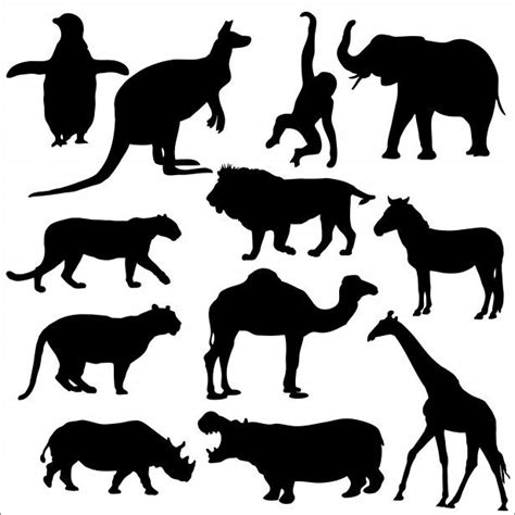 Zoo Animals Free Stock Photo | Animal line drawings, Animal silhouette ...