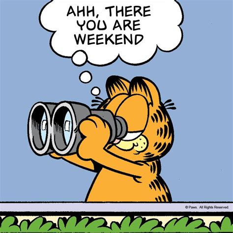 Pin on garfield | Garfield quotes, Its friday quotes, Weekend quotes