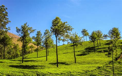 Munnar Hills Mac Wallpaper Download | AllMacWallpaper