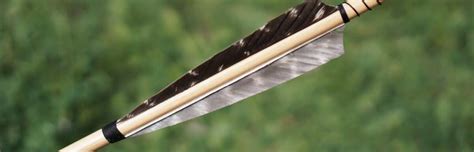 What are the Feathers on an Arrow Called? | Nature Sport Central