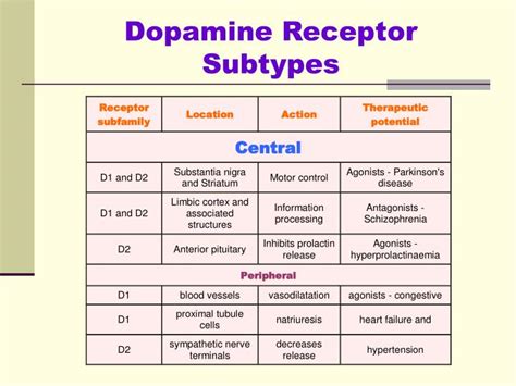 Dopamine Receptor Types