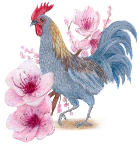 Delaware State Bird and Flower: Blue Hen Chicken / Gallus domesticus | Peach Blossom / Prunus ...