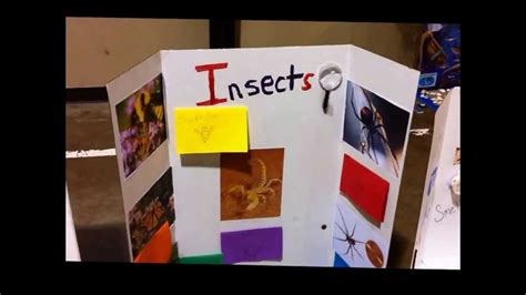 2nd Grade Science Fair 2013 - YouTube