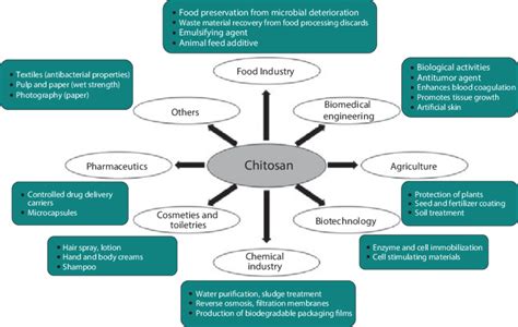 5 Potential applications of chitosan and its derivatives in various... | Download Scientific Diagram