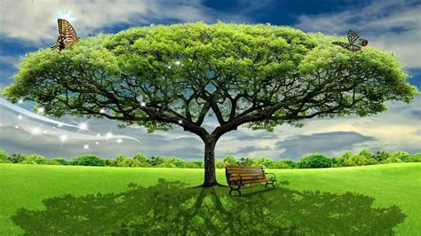 HD 1080p Beautiful Tree Nature Scenery Video, Royalty free Landscape Vid... | Nature scenery ...