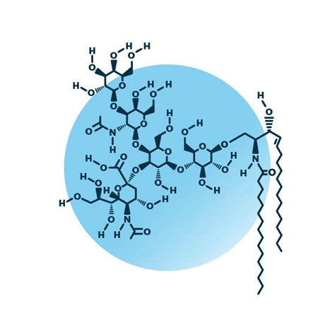 Ganglioside Structure