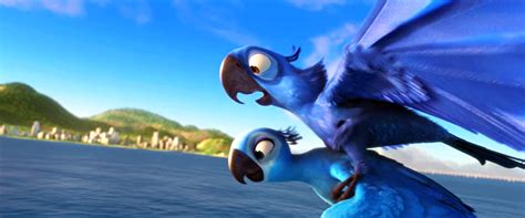 Image - Blu takes flight.png | Rio Wiki | FANDOM powered by Wikia