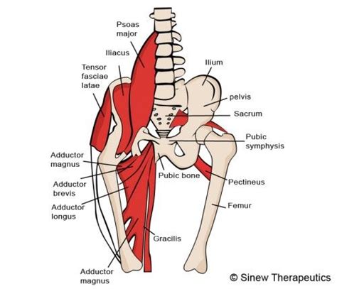 Pin on Stretches