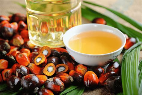 Batana Oil for Hair Growth | Benefits, Side Effects & Alternatives – Revela