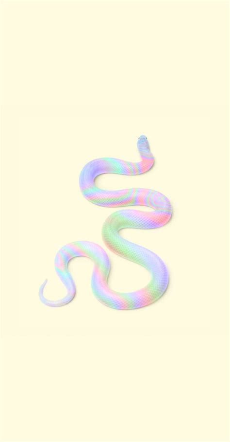 Colorful Snakes Wallpapers - Wallpaper Cave