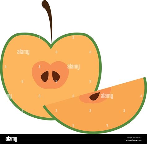 A green apple cut into half and is ready to serve vector color drawing or illustration Stock ...