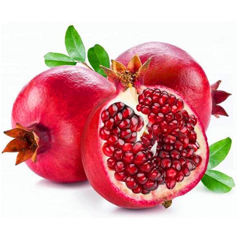 Spanish Sweet Pomegranate - Womack Nursery