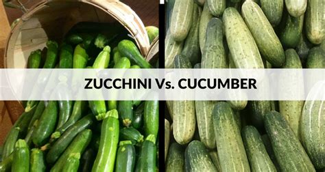 Difference Between Zucchini & Cucumber In Terms Of Nutrition & Taste