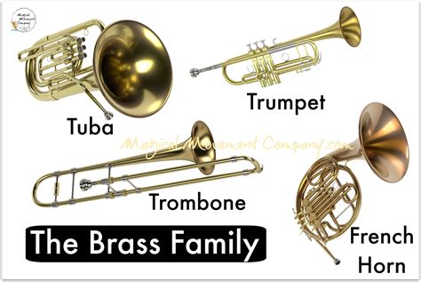 Brass Instrument Family