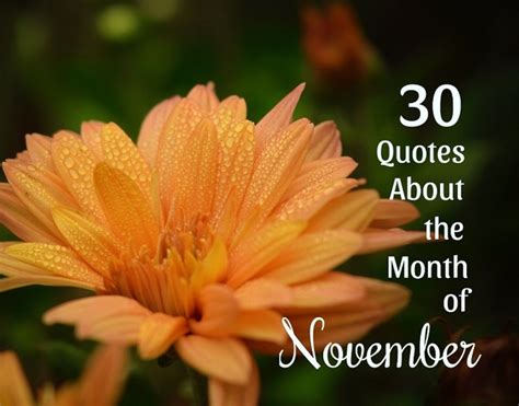 30 Quotes About November: Month of Thanksgiving and Reflection - Holidappy