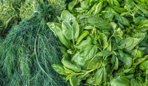 Green leafy vegetables: Nutrition and health benefits