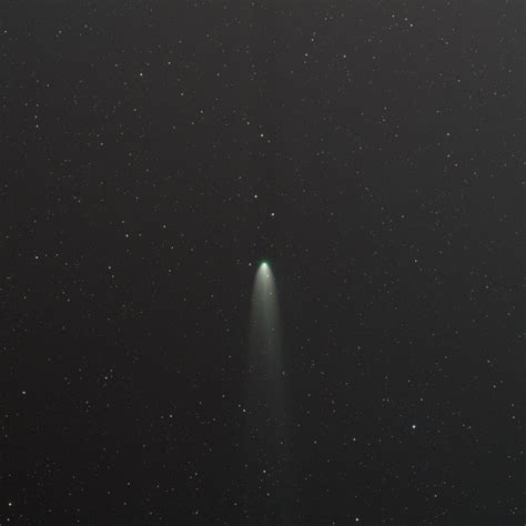 Comet Leonard | Telescope Live