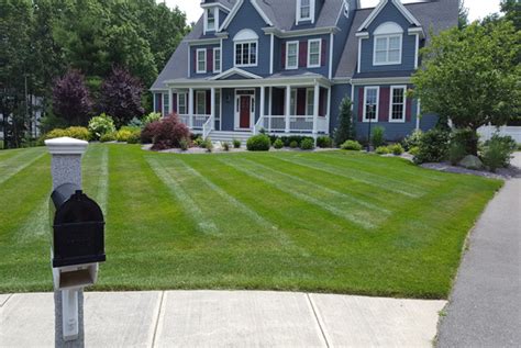 Lawn Fertilization Program | Distinctive Landscaping