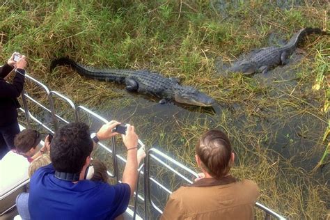 Florida Everglades Airboat Tour, Wild Florida from Orlando 2024