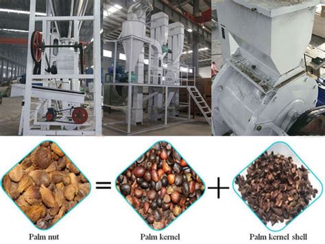 Palm Kernel Oil Production Line, Plam Kernel Oil Production Plant