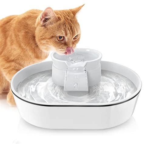 Top 10 Ceramic Cat Water Fountains of 2022 - Best Reviews Guide