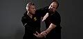 Category:Wing Chun techniques - Wikimedia Commons