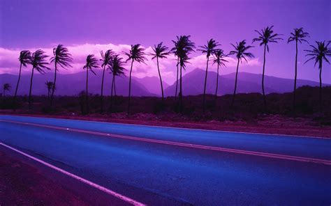 nature, Landscape, Sunset, Palm Trees, Road, Purple Wallpapers HD / Desktop and Mobile Backgrounds