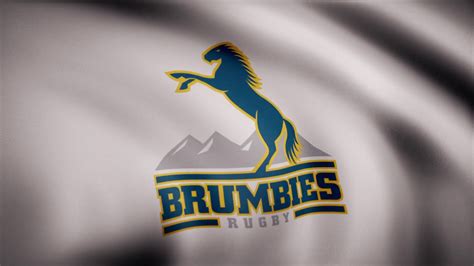 Rugby Brumbies Flag Is Waving On Transparent Stock Footage SBV ...