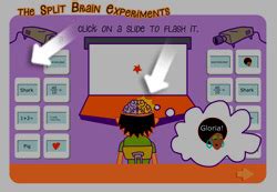 The Split Brain Experiments - Credits