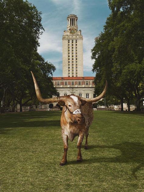 University Of Texas Longhorns Mascot