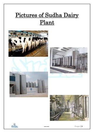 Bhagalpur Sudha Dairy Project, Project on Sudha Dairy Bhagalpur, Sudha ...