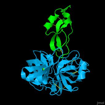 Tissue factor pathway inhibitor - Proteopedia, life in 3D