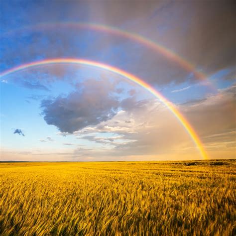 Double Rainbow Meaning